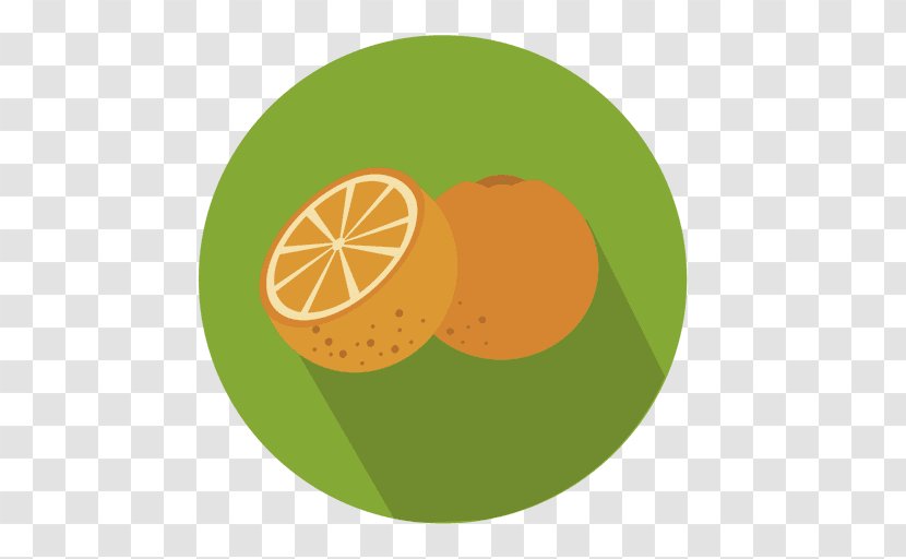 Orange - Lemon - Circulo Transparent PNG
