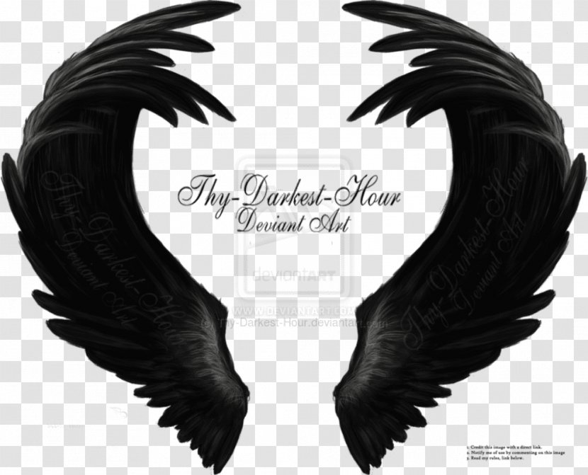 Drawing Angel Wing Art Feather - Music Download - Dark Wings Transparent PNG