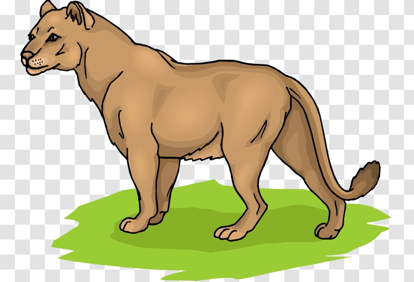 Lion Clip Art - Tail - Lioness Cliparts Transparent PNG