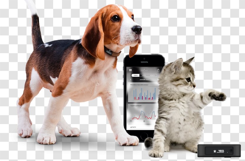 Cat Dog Pet Global Positioning System Activity Tracker Transparent PNG