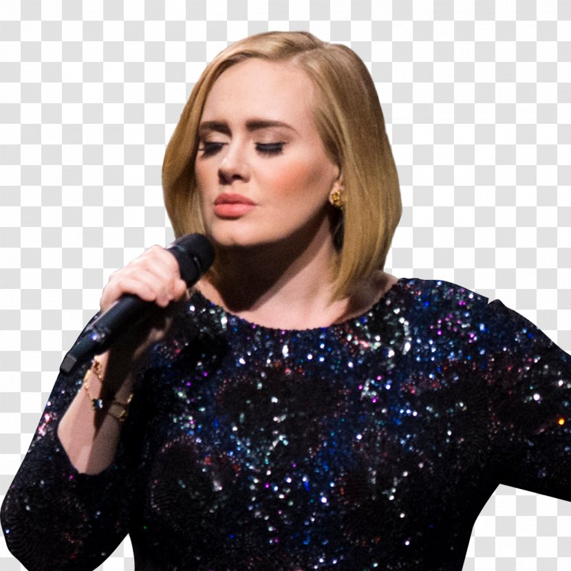 Adele Musician Grammy Award Singer-songwriter - Tree Transparent PNG
