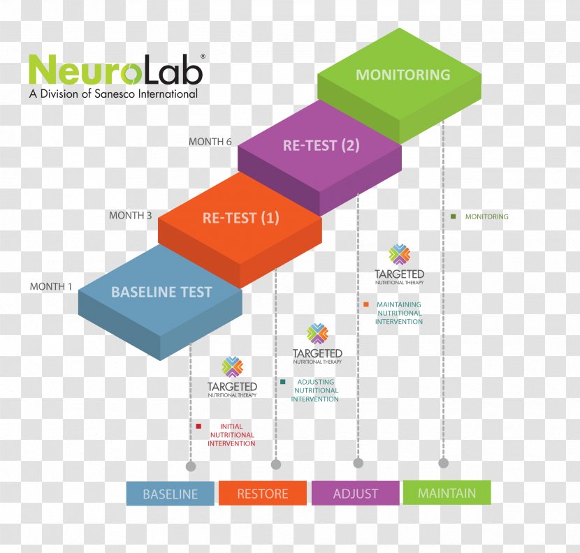 Hormone Sanesco International Inc. Product Design Cortisol Health - Educational Assessment - Infographic Transparent PNG