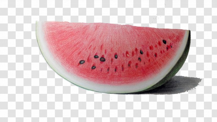 Watermelon Food Safety Fruit - Cucumber Gourd And Melon Family - Picture Material Transparent PNG