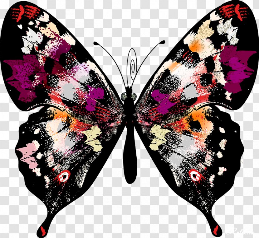 Butterfly Clip Art - Raster Graphics - Background Transparent PNG