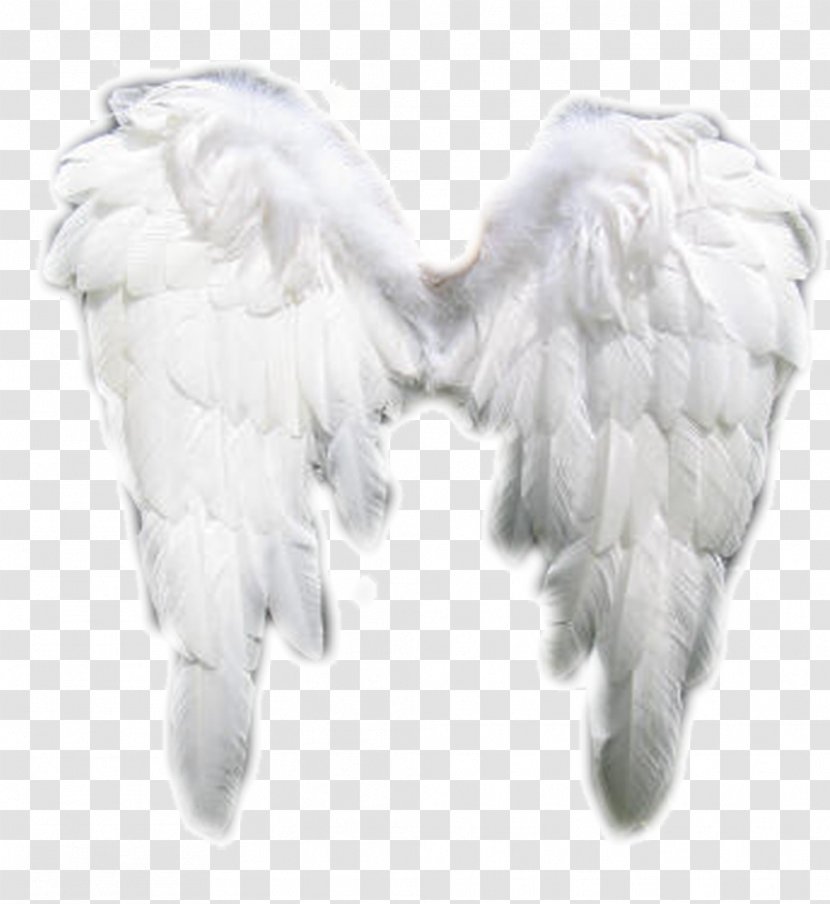 Angel Jackie Frith Intuitive Healing For Mind, Body And Soul Cherub Mediumship Heaven Transparent PNG