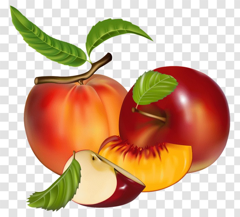 Fruit Desktop Wallpaper Clip Art - Local Food - Potato And Tomato Genus Transparent PNG