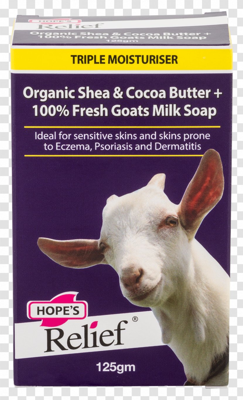 Goat Milk Cream Cheese - Fauna Transparent PNG