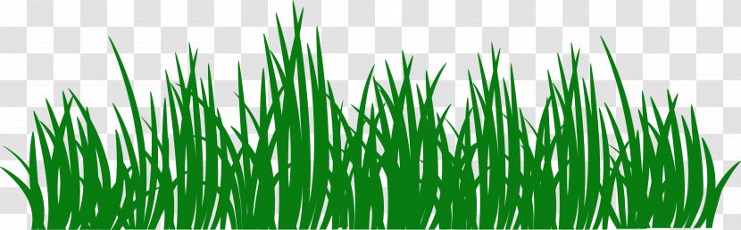 Sticker Grass Lawn Wall Decal Paper - Wheatgrass - Watercolour Border Transparent PNG