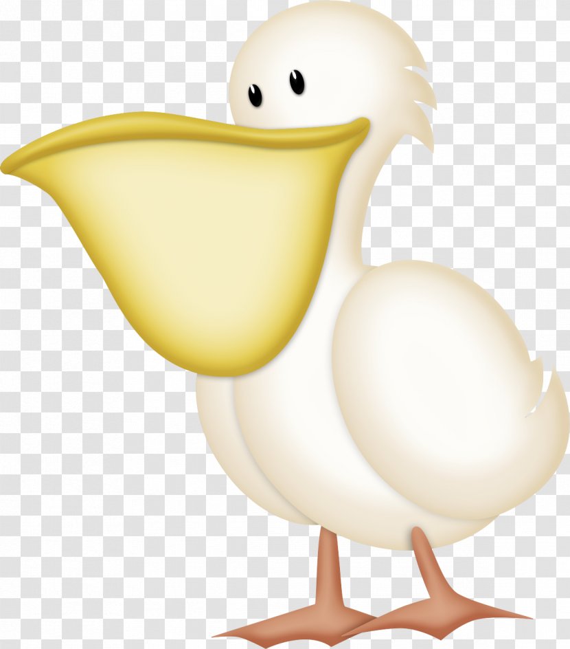 Clip Art Duck Chicken Image - Pelican Bubble Transparent PNG