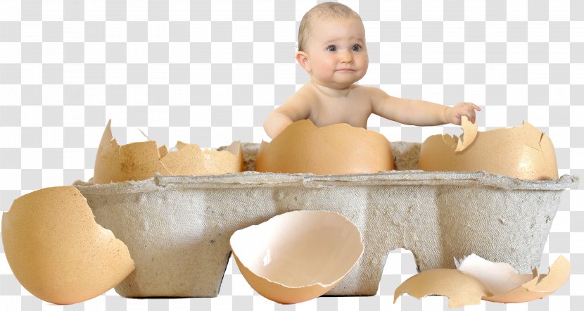 Child Chicken Egg Infant - Eggshell Transparent PNG