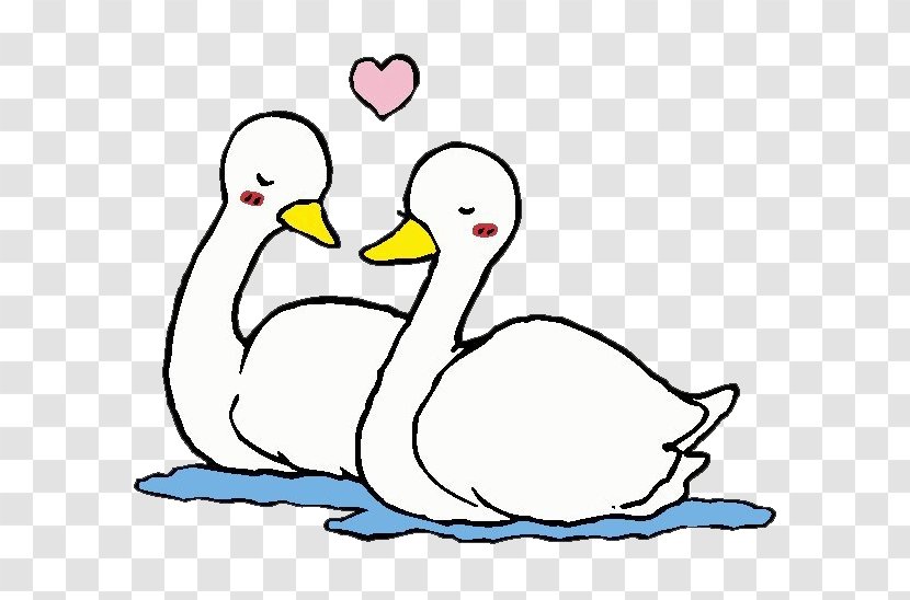 Hot Pot Mandarin Duck Cartoon - Animal - Couple White Swan Transparent PNG