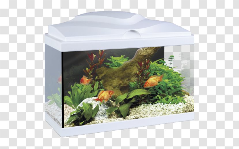 Aquarium Light-emitting Diode Lighting - Freshwater - Light Transparent PNG