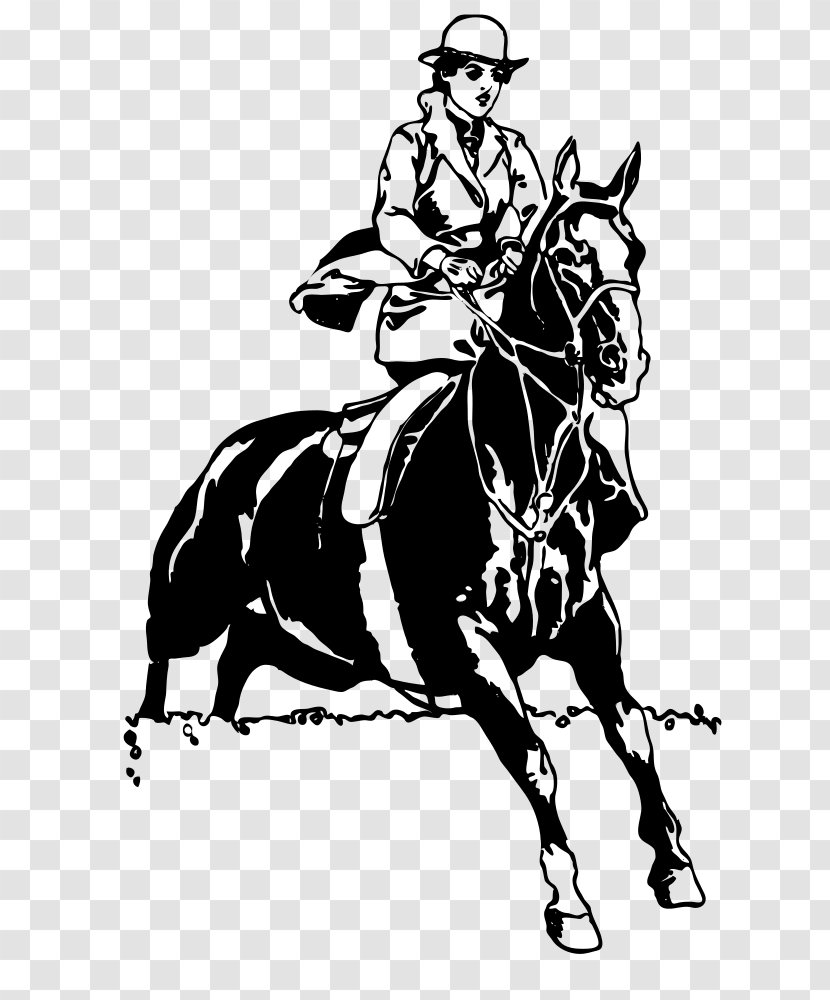 Horse Cartoon - Trainer - Equitation Working Animal Transparent PNG