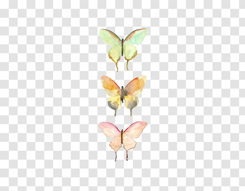 Butterfly Watercolor Painting Drawing Art - Tree Transparent PNG