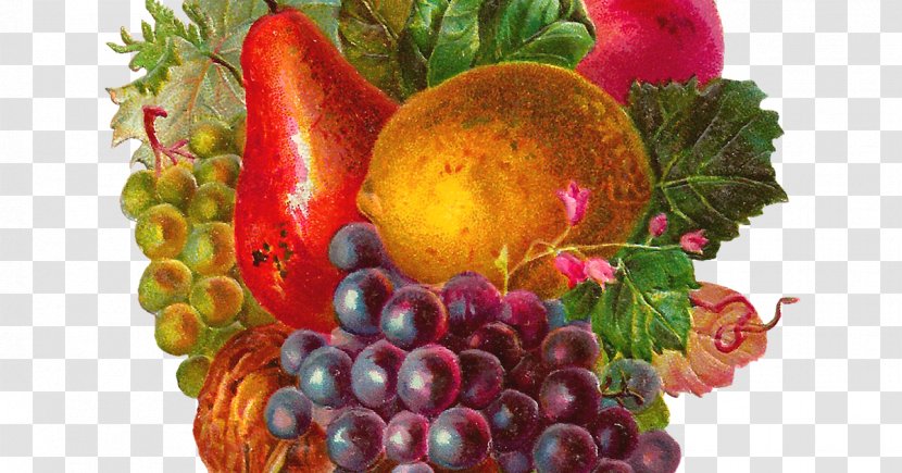Common Grape Vine Fruit Vintage Clothing Apple Clip Art - Superfood - Mix Transparent PNG