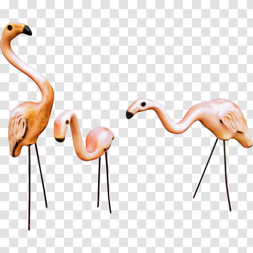 Flamingo Cartoon - Neck - Art Transparent PNG