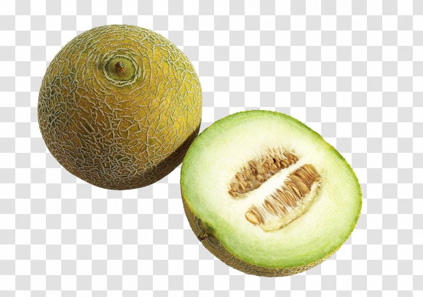 Honeydew Cantaloupe Canary Melon Hami Galia - Sweet Transparent PNG