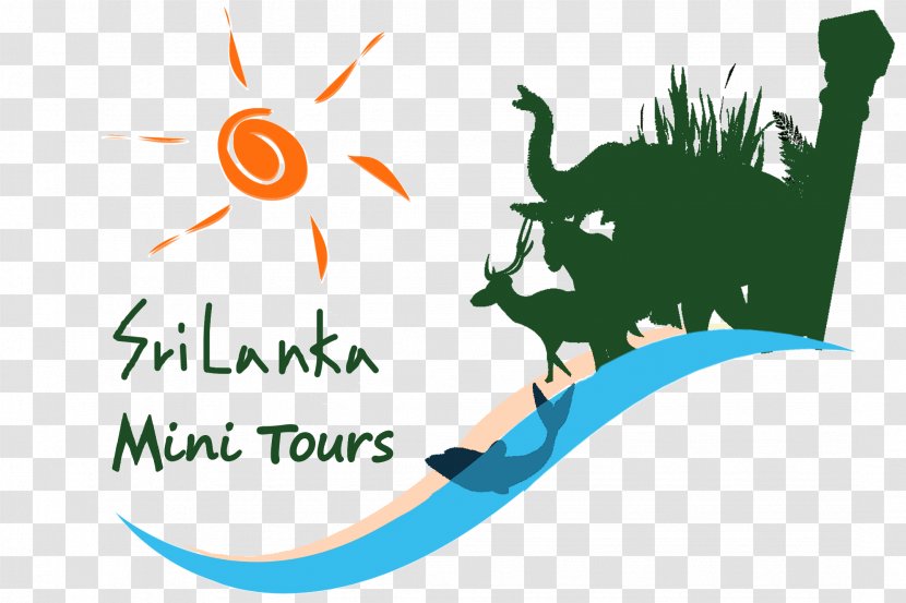 Kandy Bentota Madu Ganga Colombo Balapitiya - Logo - Surfing Transparent PNG