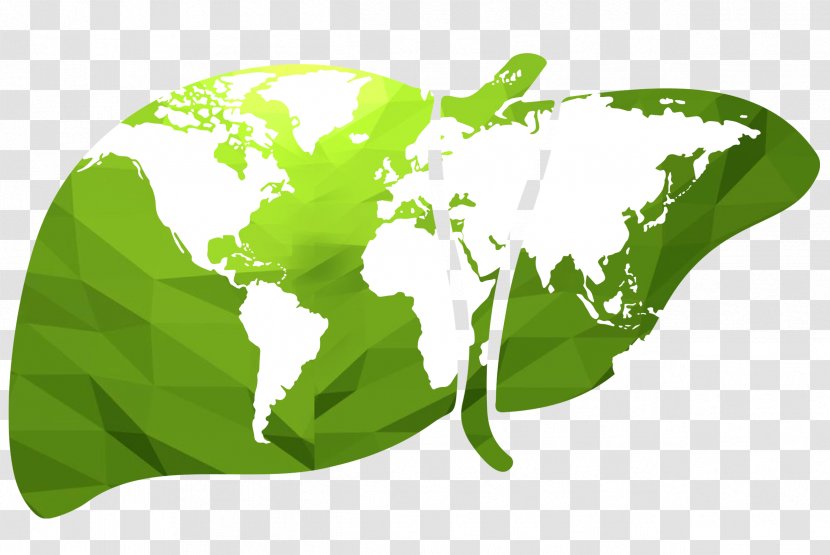 World Map Globe Vector Graphics - Royaltyfree - Charterhouse Transparent PNG