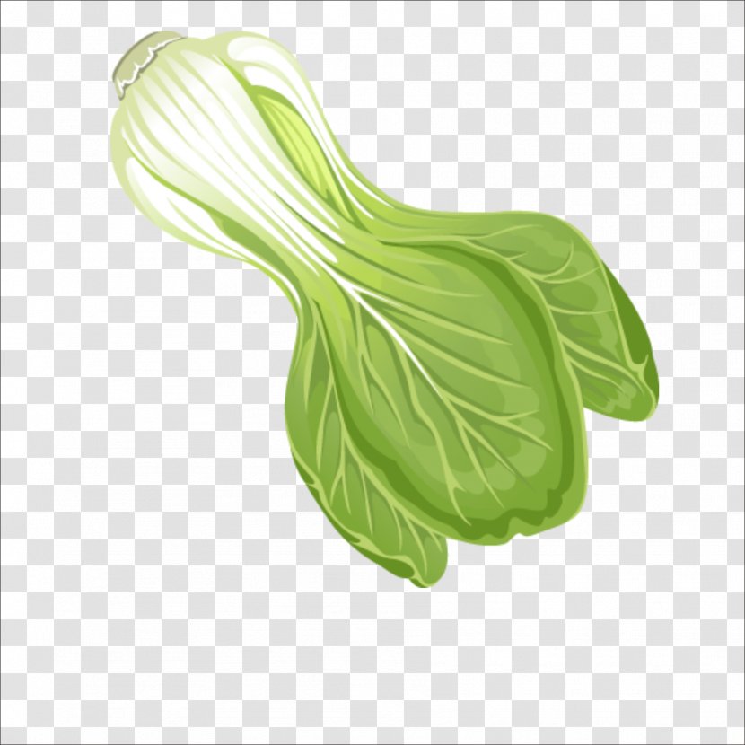 Leaf Vegetable Chinese Cabbage - Napa Transparent PNG