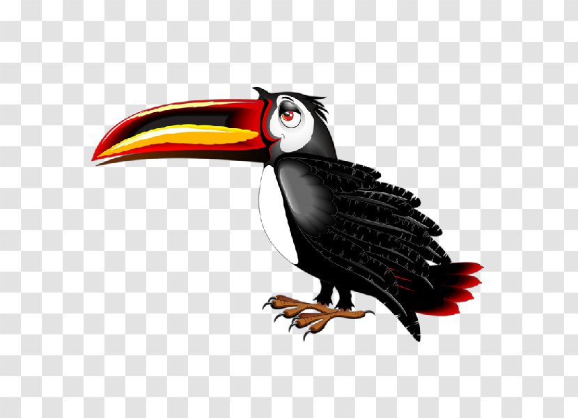 Bird Toucan Cartoon Clip Art Transparent PNG