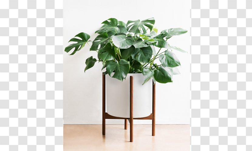 Flowerpot Houseplant Wood Succulent Plant - Stand Transparent PNG