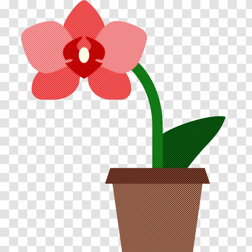 Flowerpot Flower Plant Houseplant Petal - Amaryllis Belladonna Moth Orchid Transparent PNG