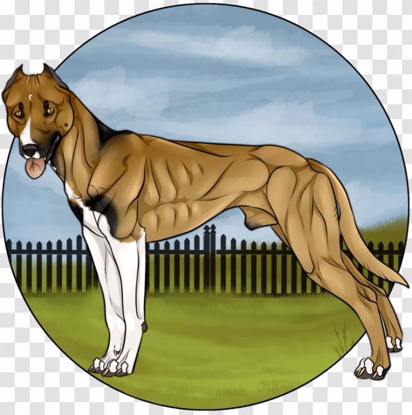 Dog Breed Cartoon - Mammal Transparent PNG