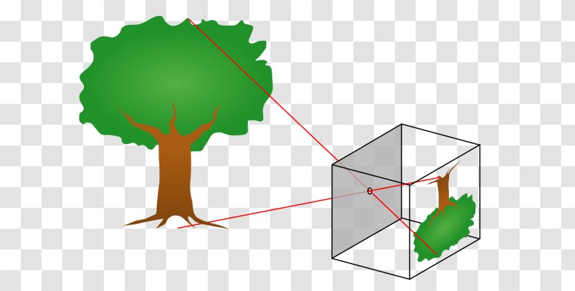 Pinhole Camera Model Photography Transparent PNG