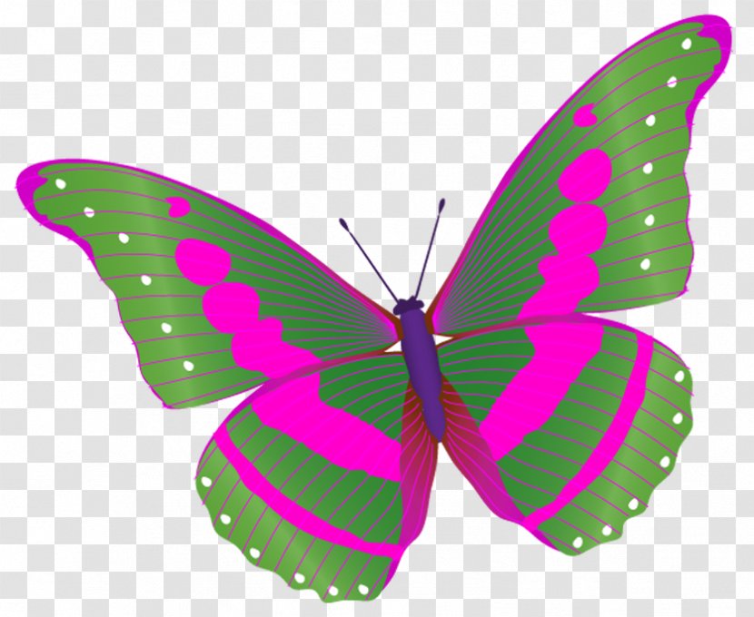 Brush-footed Butterflies Butterfly Moth Russia .ru - Quotation - Bright Colors Transparent PNG