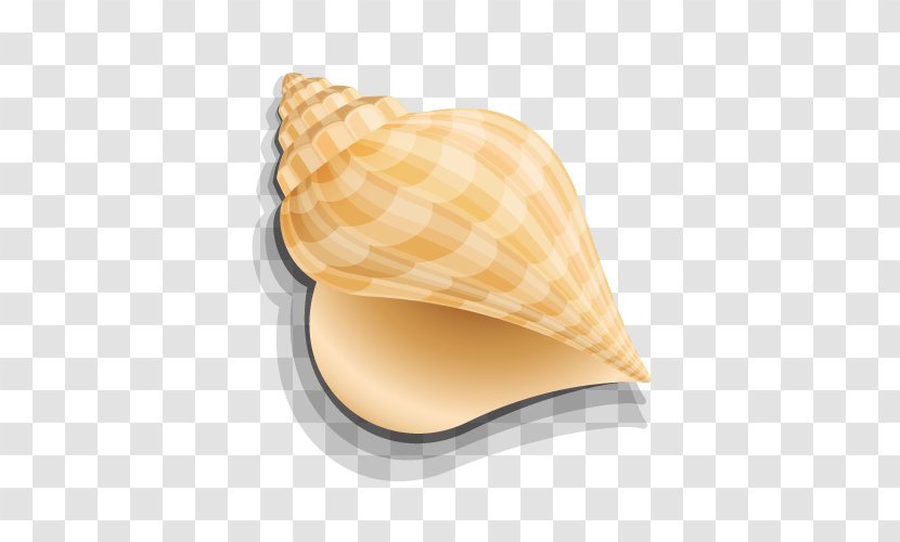 Seashell Computer Graphics - Artworks - Golden Conch Transparent PNG
