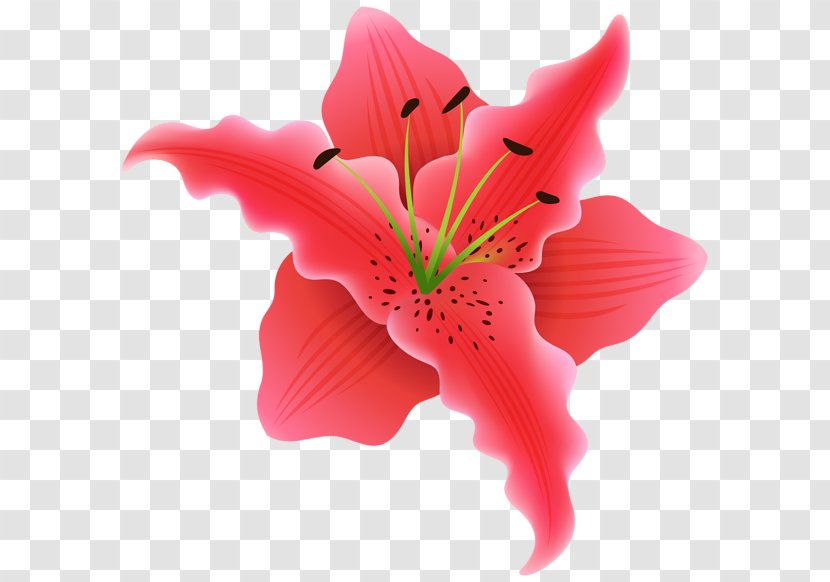 Flower Desktop Wallpaper Clip Art - Peach - Beautiful Flowers Library Transparent PNG