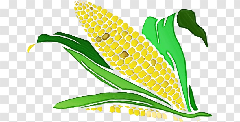 Green Corn Yellow Leaf Plant - Paint - Vegetarian Food Transparent PNG