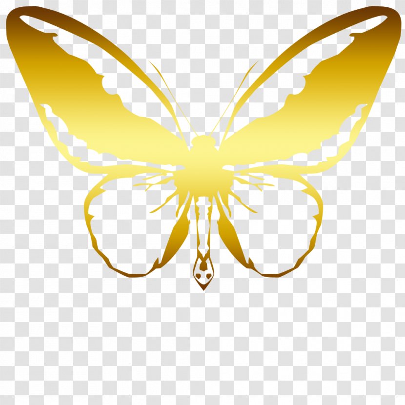 Butterfly Moth Insect - Invertebrate Transparent PNG