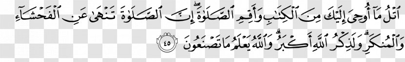 Line Eyelash Angle White Font - Number - Quranic Verses Transparent PNG