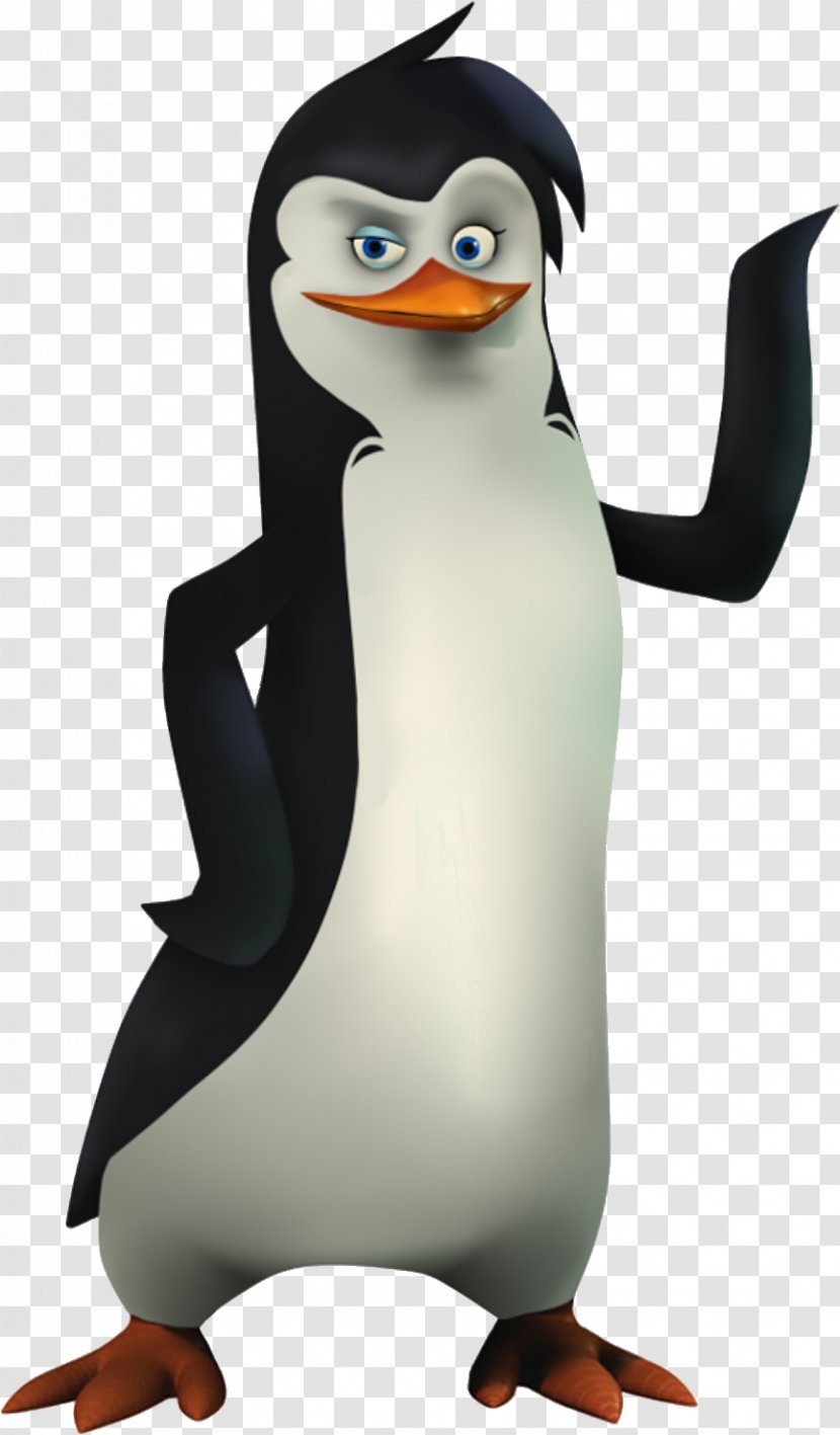 Penguin Madagascar Animation Clip Art - Flightless Bird - Penguins Transparent PNG