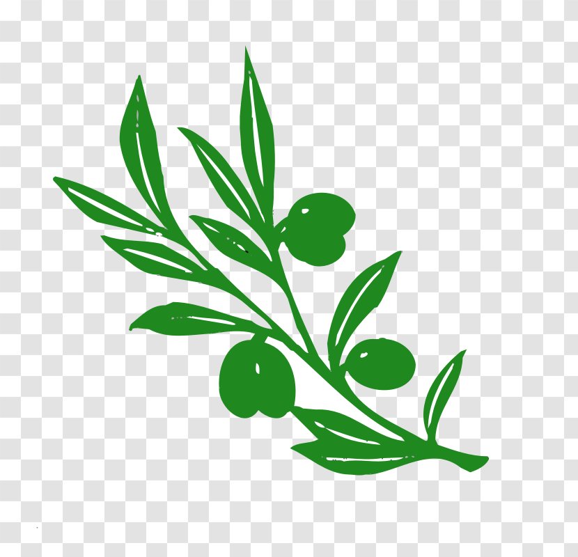 Olive Branch Clip Art - Flora - Picture Of A Tree Transparent PNG