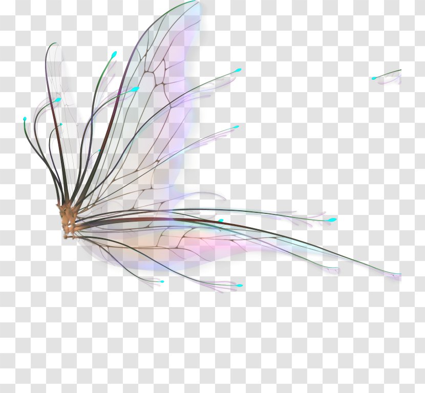 Tinker Bell Fairy Image Clip Art - Tooth - Butterfly Wing Background Transparent PNG