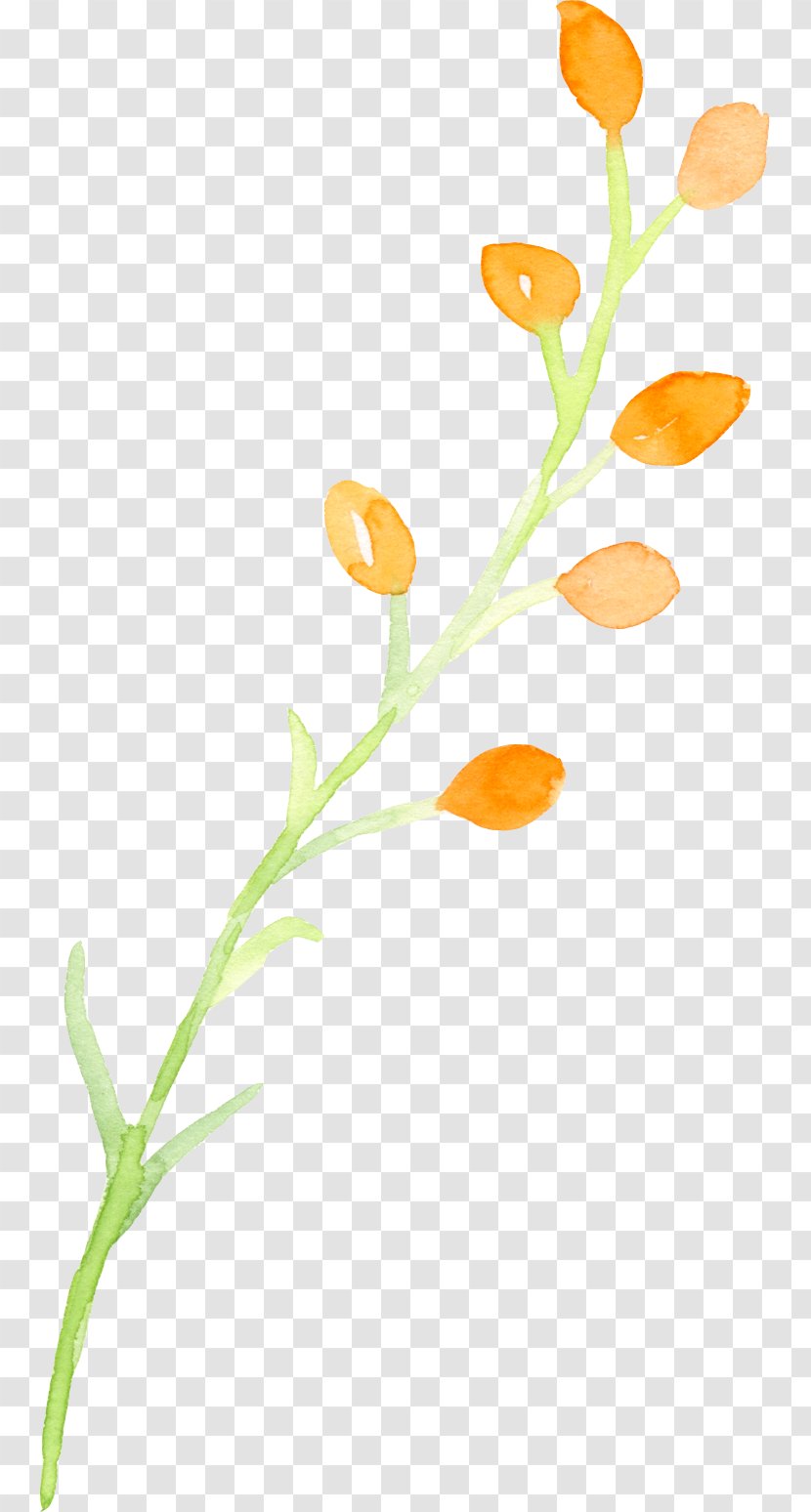 Painting Plant - Flora - Painted Plants Transparent PNG