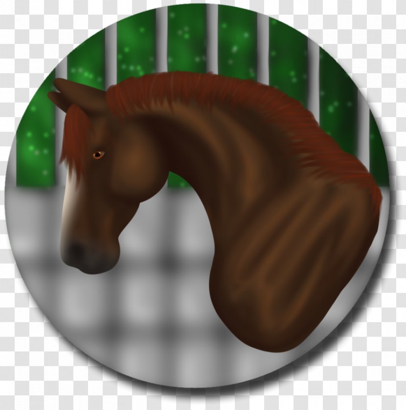 Mustang Stallion Halter Freikörperkultur Yonni Meyer - Horse - Paint Bloom Transparent PNG