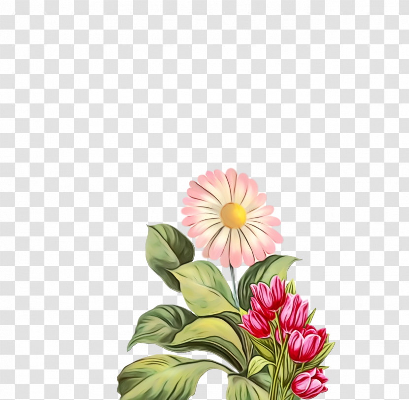 Floral Design Transparent PNG