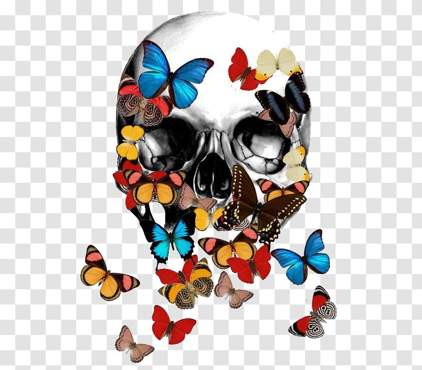 T-shirt Calavera Skull Bone Skeleton - Membrane Winged Insect - Butterfly Bones Transparent PNG