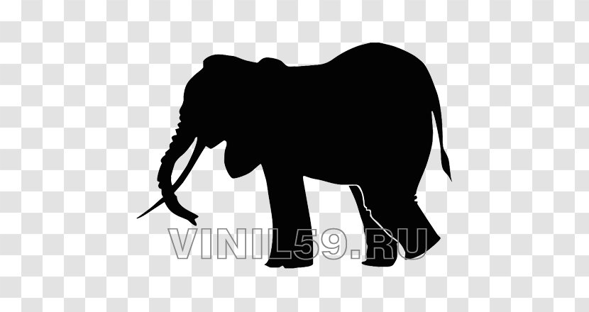 Drawing Indian Elephant - Mammal - Silhouette Transparent PNG