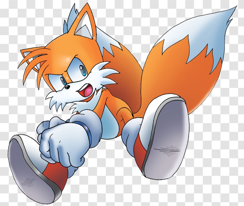 Tails Cat Ariciul Sonic Mario & At The Olympic Games Hedgehog - Flower Transparent PNG