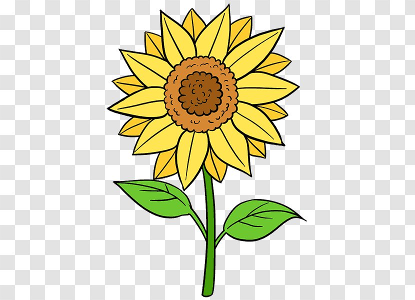 Drawing Common Sunflower Painting Art Sketch - Museum - Leaf Transparent PNG