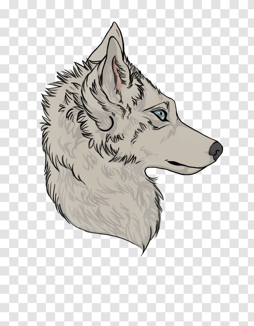 Dog Drawing Canidae Snout - Carnivoran - Believer Transparent PNG