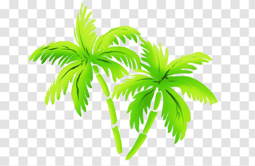 Arecaceae Clip Art - Blog - Green Coconut Transparent PNG