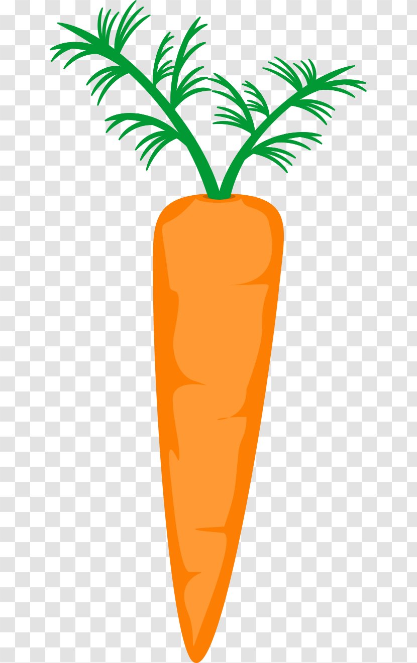 Flower Carrot Clip Art - Food Transparent PNG