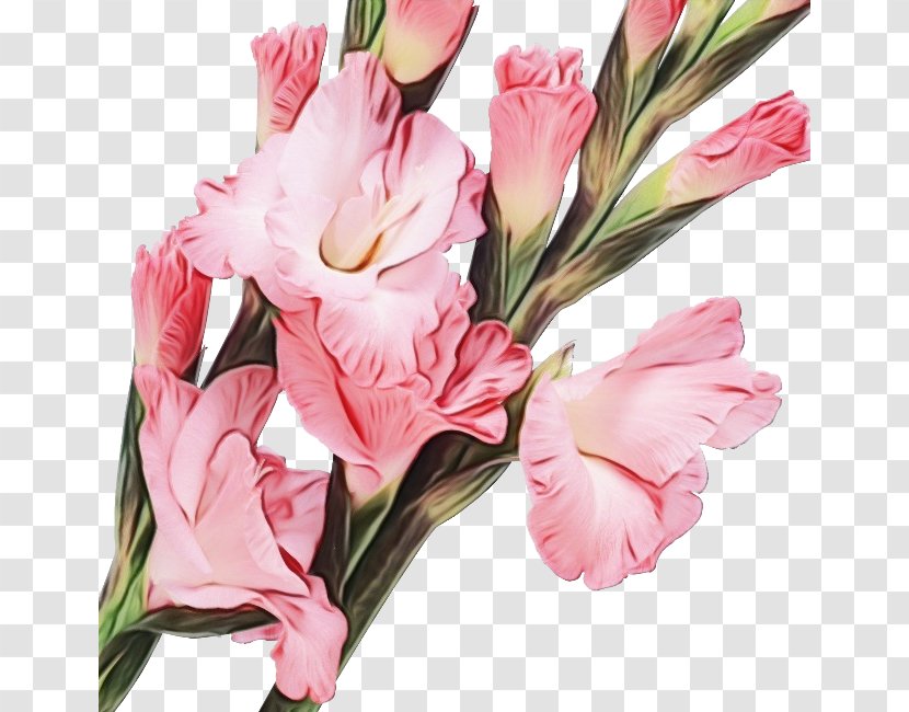 Artificial Flower - Flowering Plant - Bouquet Transparent PNG