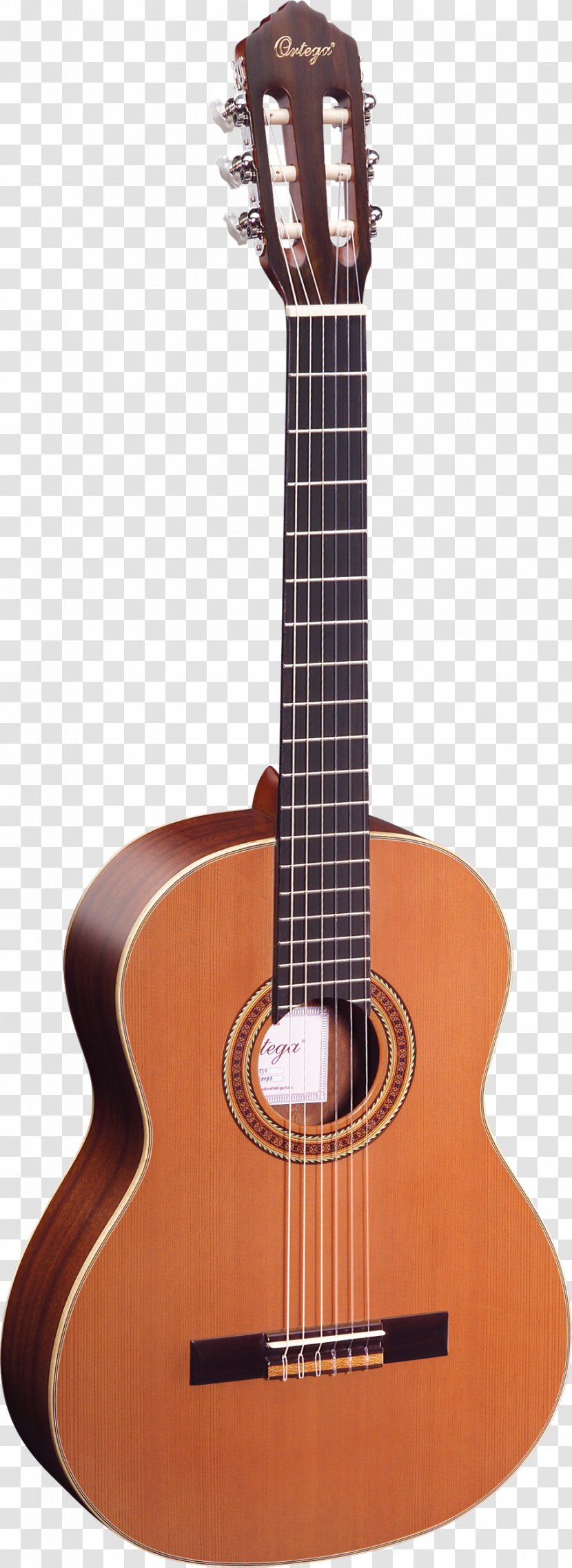 Fender Bullet Steel-string Acoustic Guitar Classical Musical Instruments - Silhouette - Amancio Ortega Transparent PNG